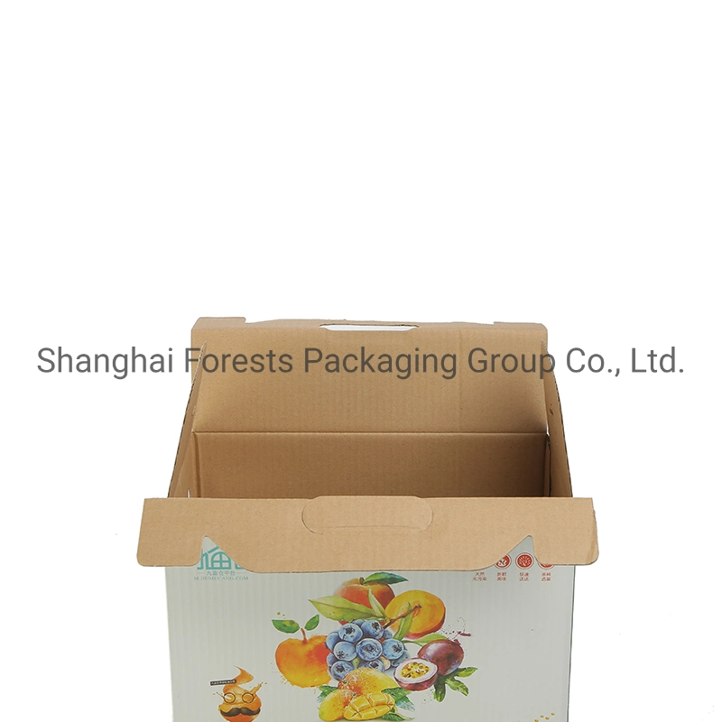 Custom Printing Wholesale/Supplier Food Fruit Vegetables Gift Shipping Box Paper Box