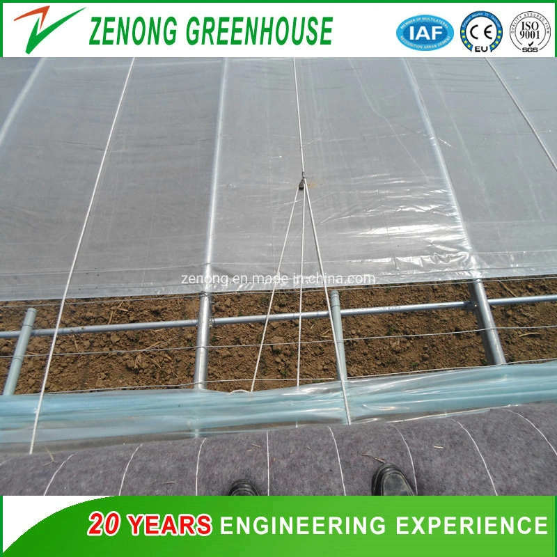 Easy Installation Solar Greenhouse Air Insulation Wall Green Houses Oval Tube Green House with Quilt for Cold Area Agriculture Vegetables Planting