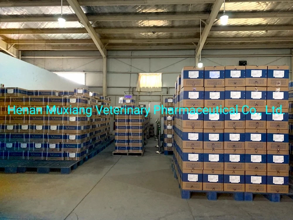 Veterinary Medicine Multi-Vitamin Oral Solution for Animal Use