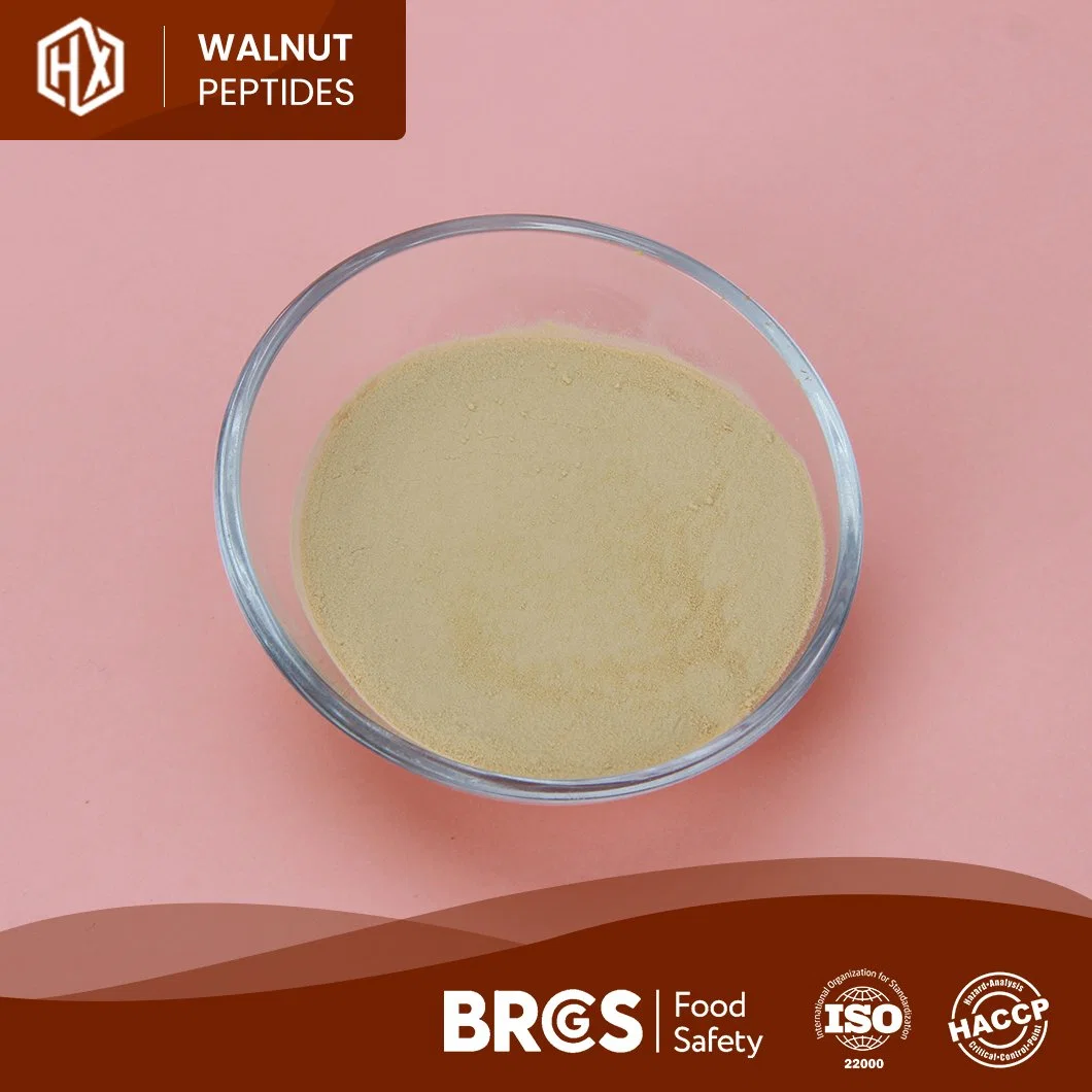 Haoxiang Wholesale/Supplier Bulk High Purity Walnut Peptides in Immune Anti-Fatigue Customized Clear Hydrolyzed Instant Textured Isolate Walnut Peptides Protein Powder