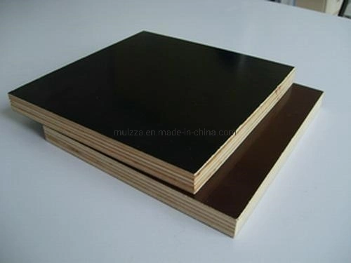 18mm Veneer Plywood Film Faced Plywood