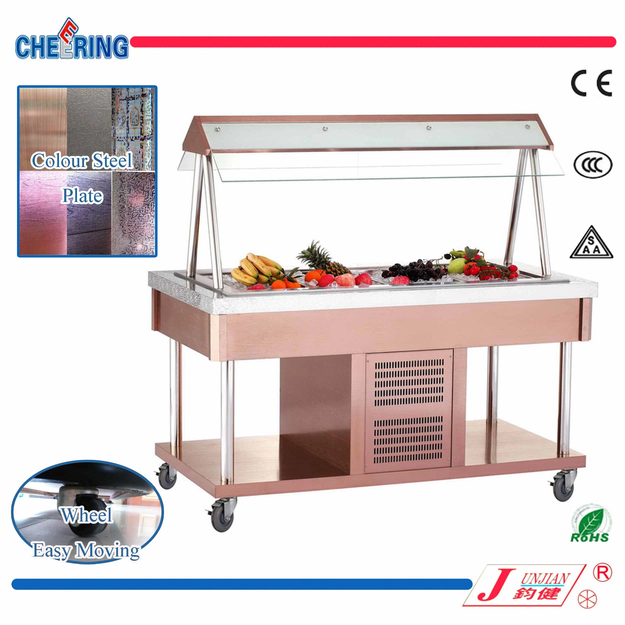 Made in China Commercial Colour Steel Salad Bar Display Refrigerator