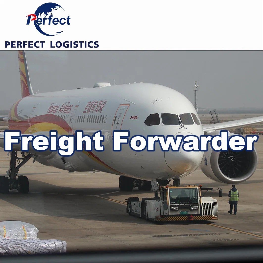 1688 Professional Shipping Company Air/Sea Freight Forwarder Cargo Ship Price to Europe