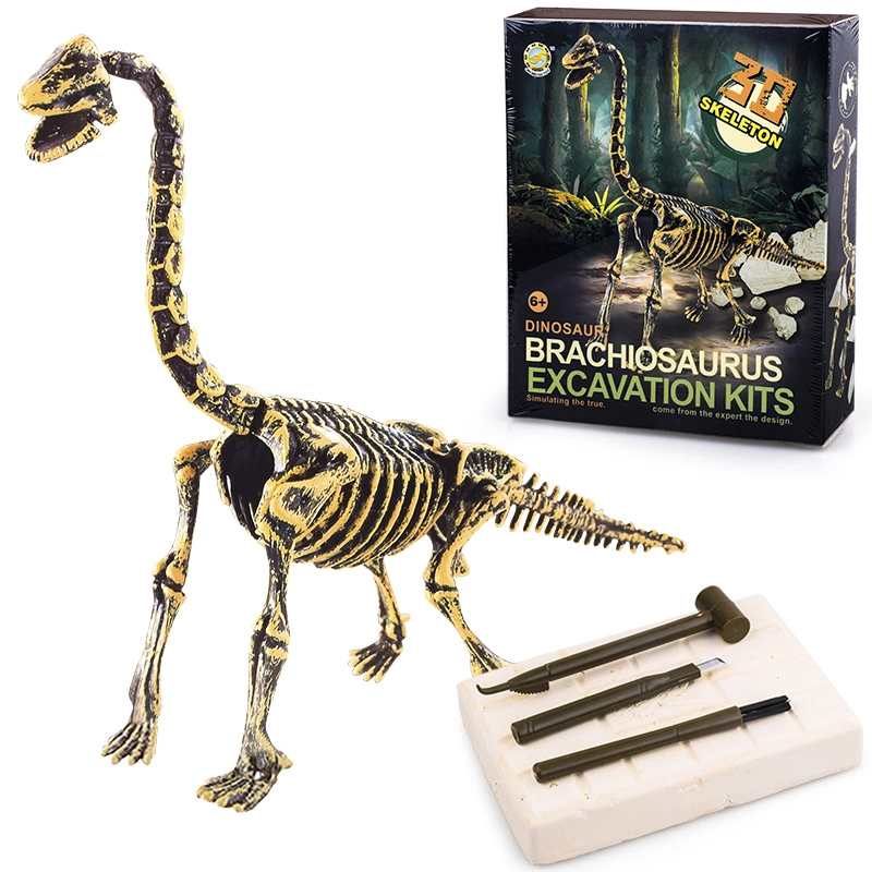 Kit de fouilles archéologiques de dinosaures en gros pour enfants, avec jouets d'excavation de fossiles de Brachiosaure.