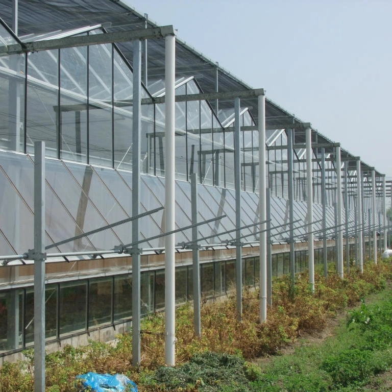 Farming Glass Green House for Agriculture Vegetable
