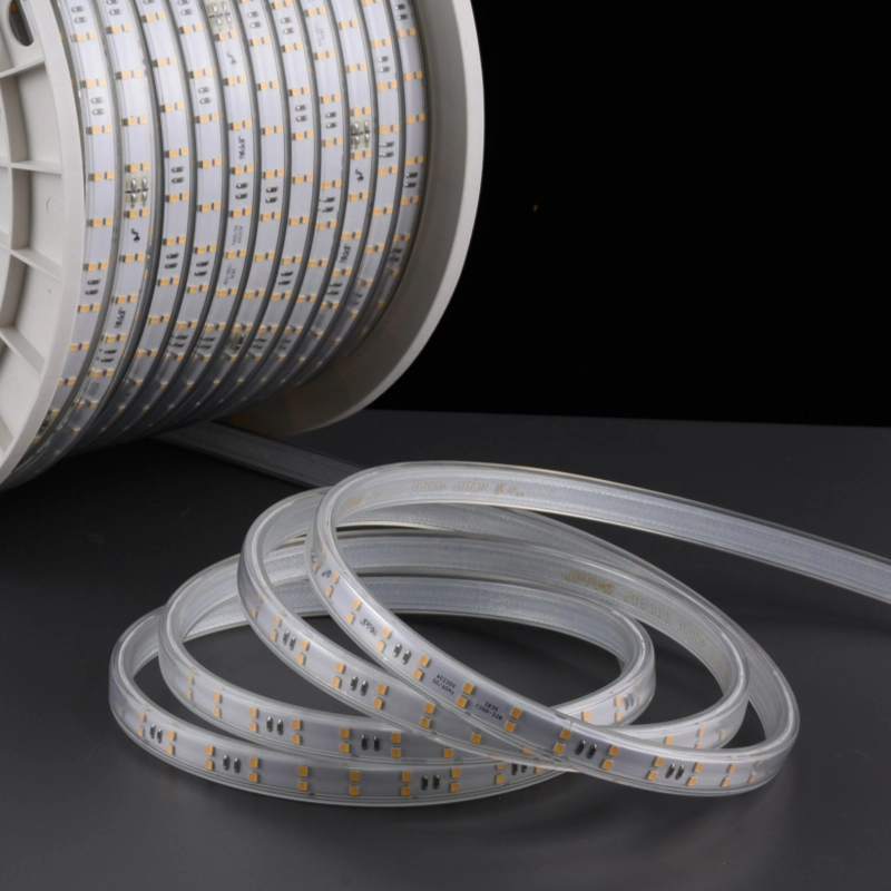 SMD2835 220V LED Strip Light 120d Strip Light