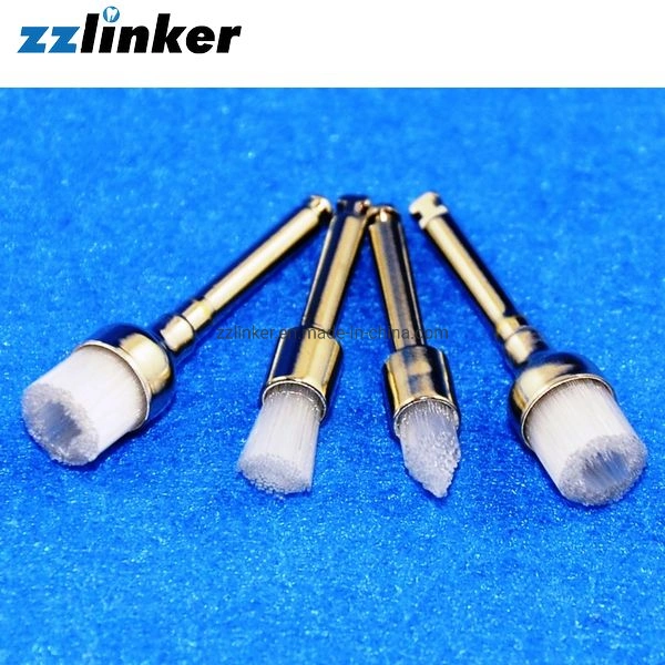 Lk-P41 Nylon Material Dental Polishing Prophy Brush Price