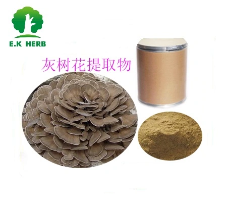 E. K extracto vegetal de hierba de la certificación ISO de fábrica China alimentación fabricante hongo Maitake orgánico Extracto 10%~50% de polisacárido grifola frondosa extraer