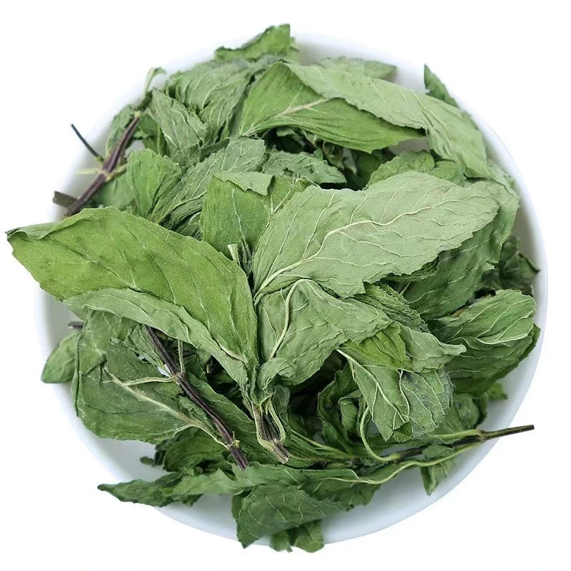 Helath Care Leaf Tea Peppermint Green Bulk Supply Herb Medicine Mint with Special Fragrance