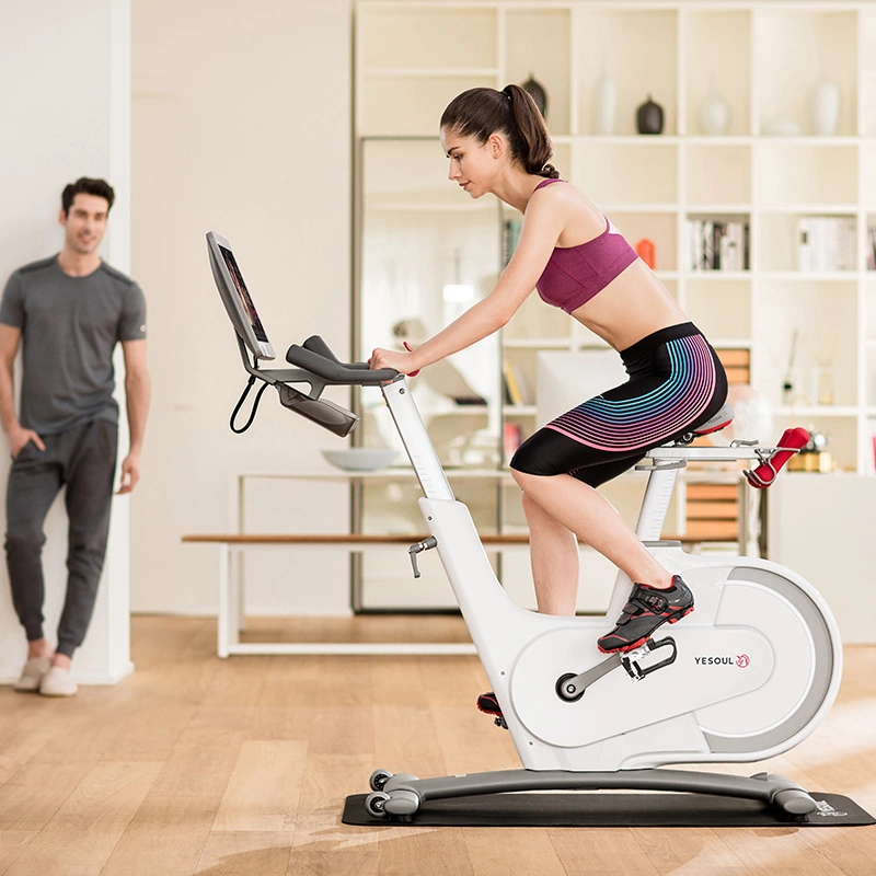 Yesoul New Arrival Large Stationary Bike with Calorie Counter