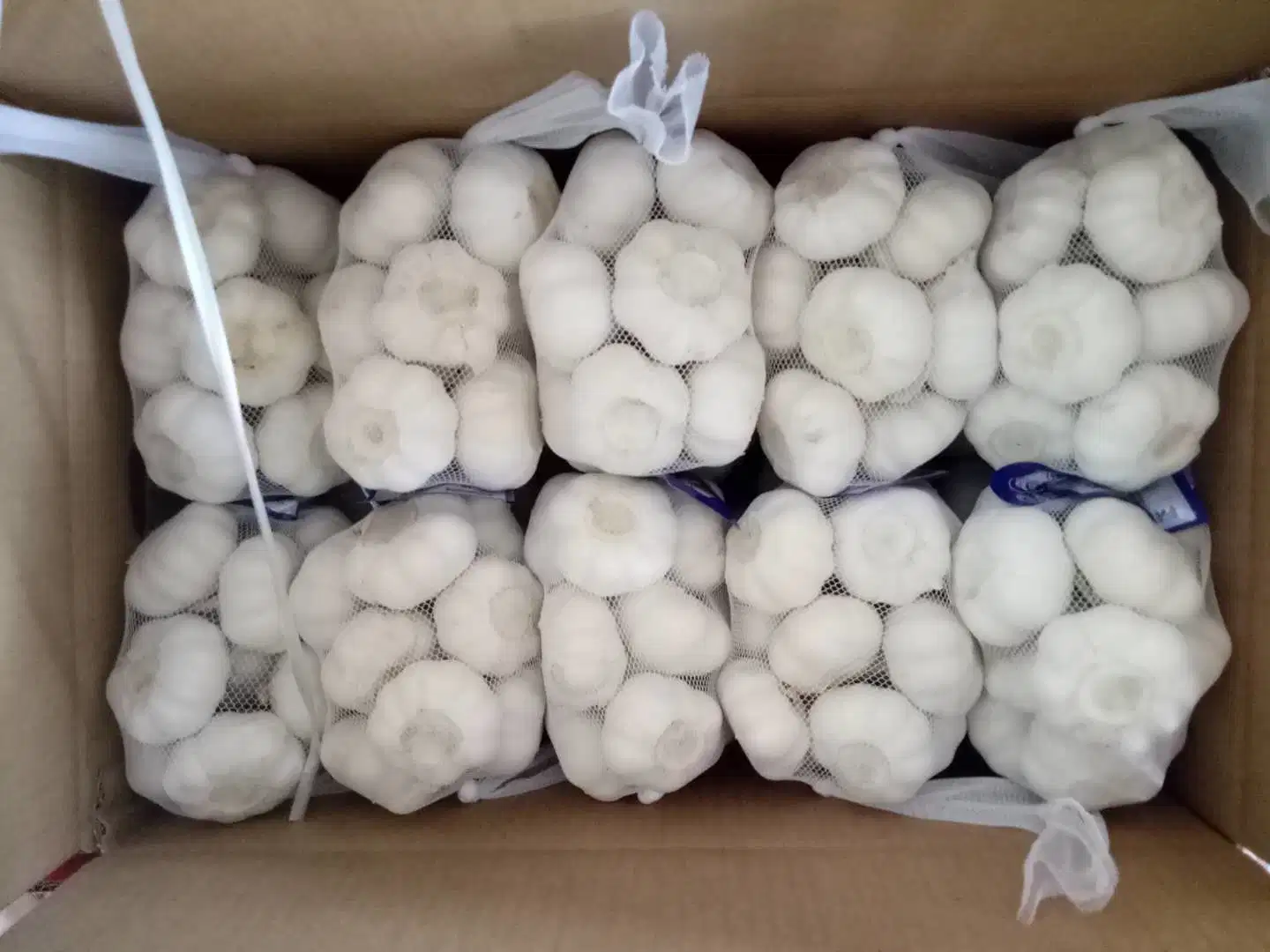 2018 Shandong Fresh White Garlic with Good Price