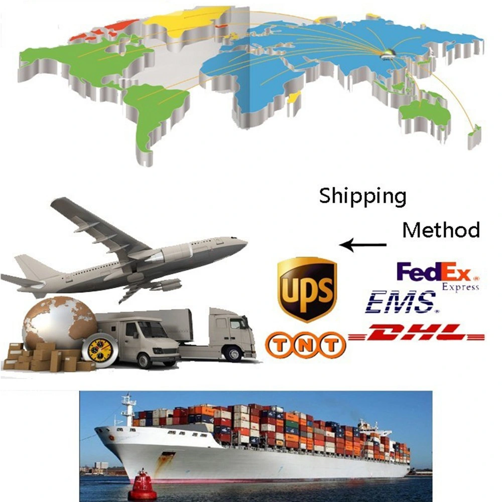 DHL TNT UPS FedEx Ceva Logistics Service Agent d'expédition du fret aérien de fret sensible à la USA/UK/EUROPE