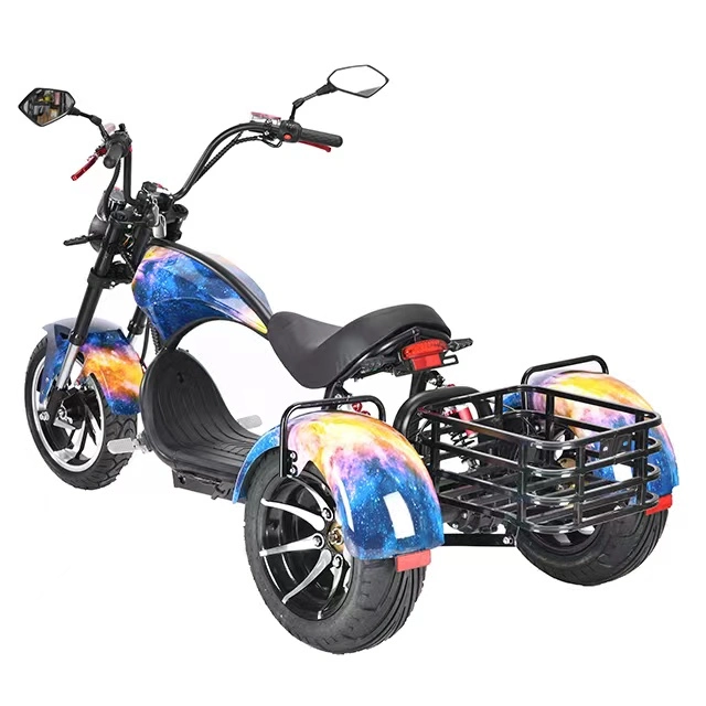 Three Wheels Big Tire Trike Adult Tricycle Citycoco 3 Wheel Electric Scooter