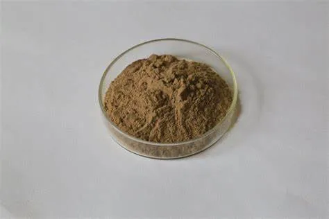 Bulk Supply Finger Root Extract Boesenbergia Rotunda L.