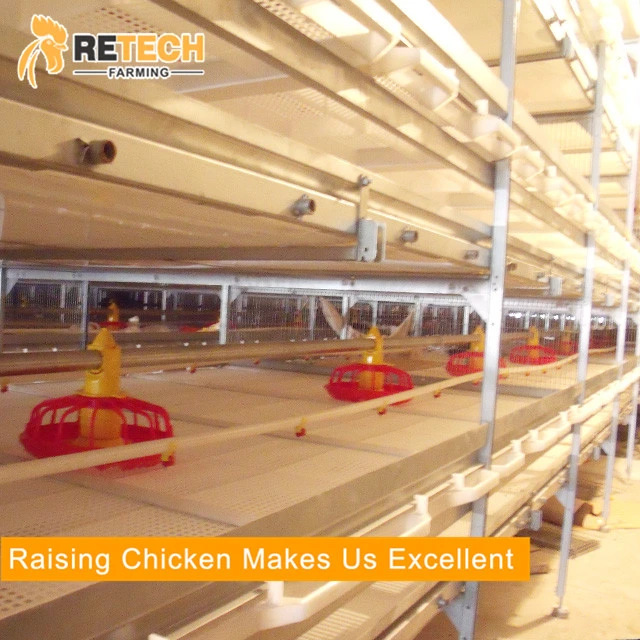 Battery Broiler chicken cage with factory price for meat chicken raising
