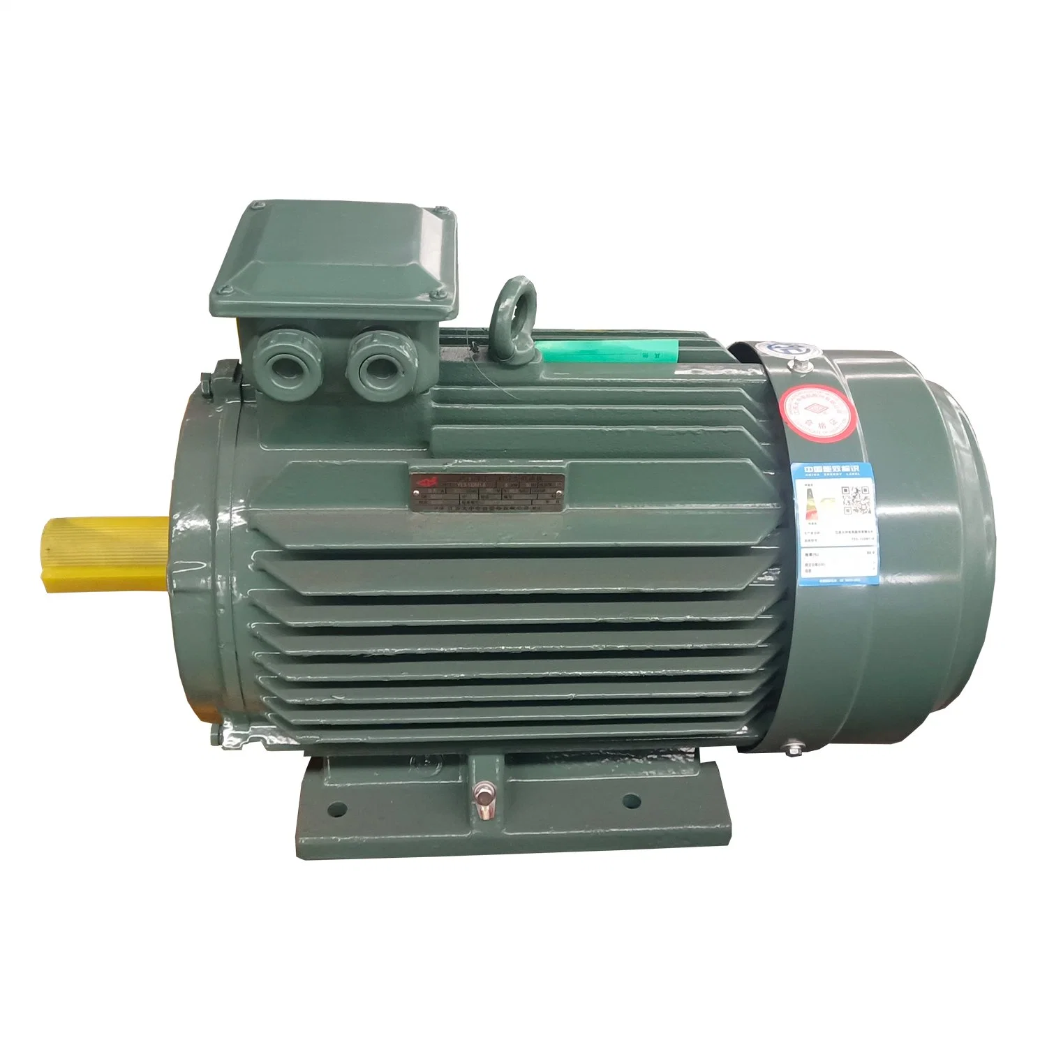 Ye3-Ie3 High Efficiency AC Motor Famous Chinese Motor Electric Motor (IE3, YE3-315)