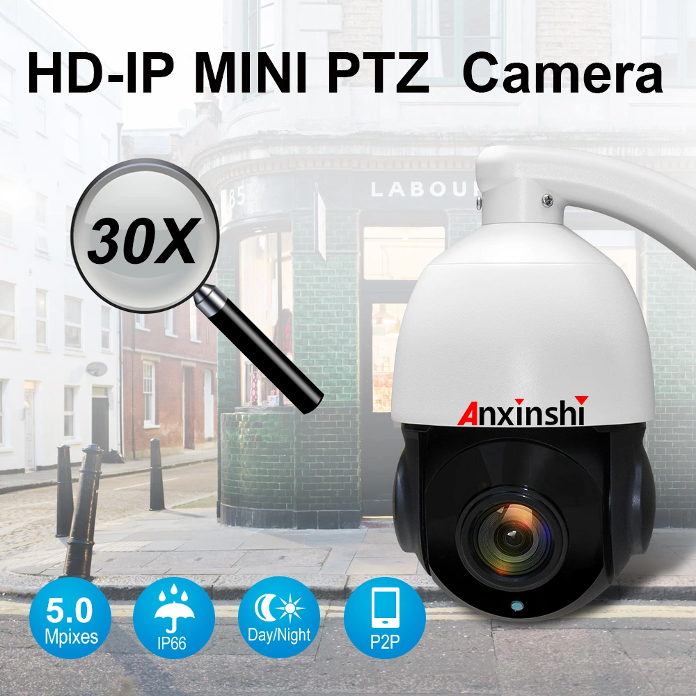 4 Inch Mini 5MP IP PTZ Camera