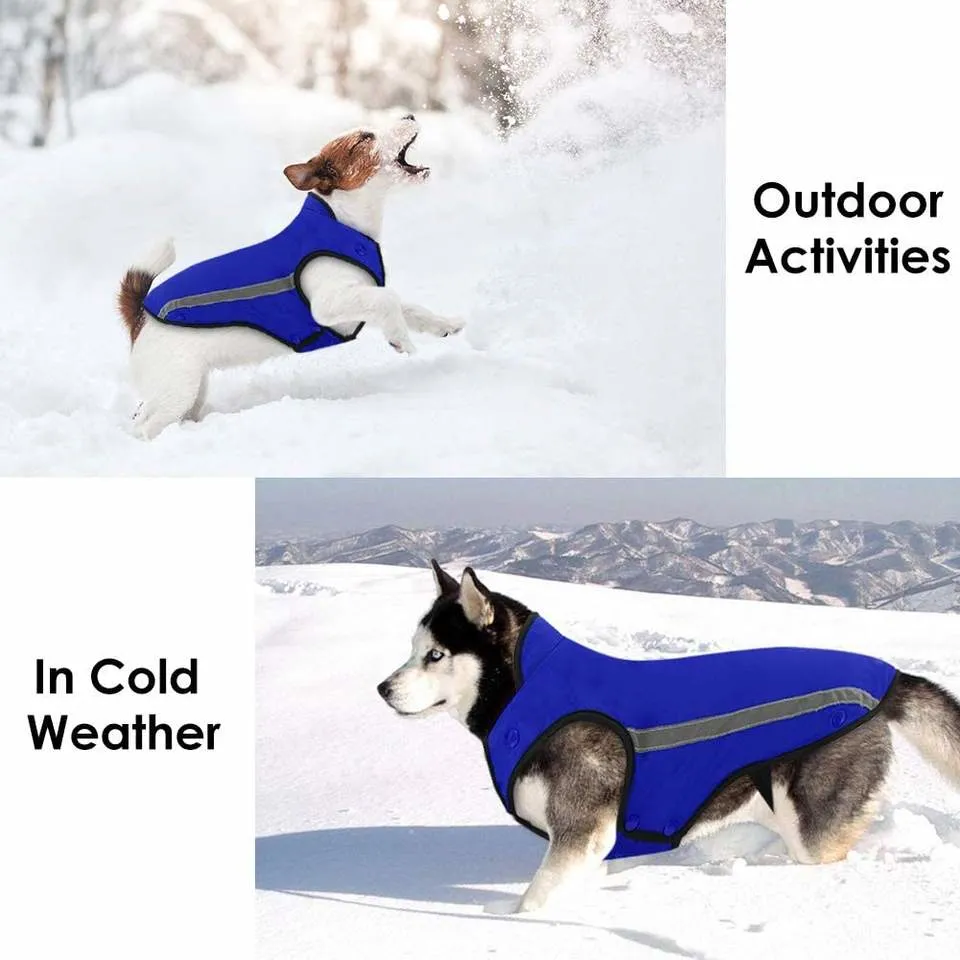 Custom Großhandel Luxus Winter Hund Kleidung Haustier Jacke Winddichtes Klein Und Big Dog Coat Mode Designer Hund Kleidung