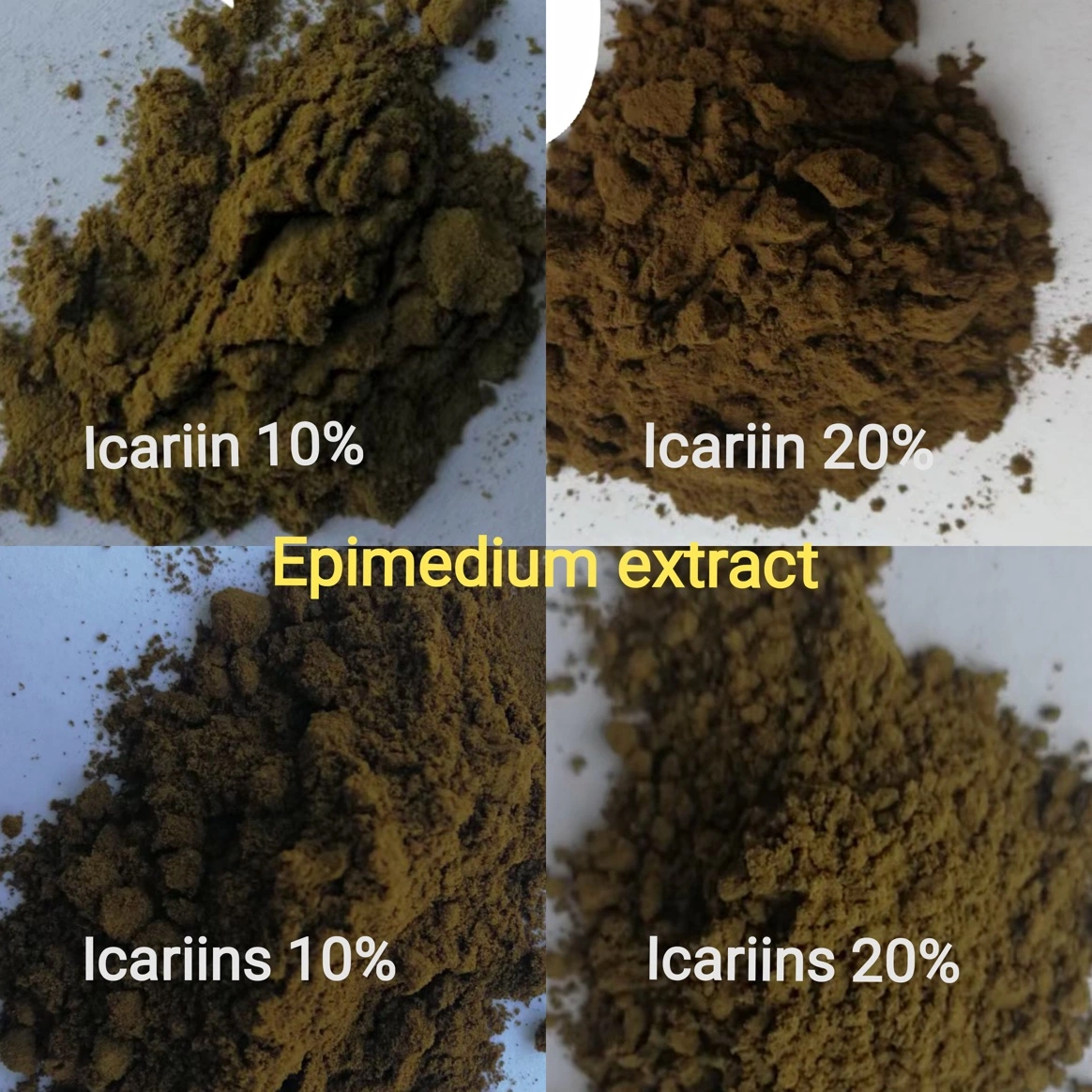 Horny Goat Weed Extract Icariin Powder Epimedium 98% Epimedium Extract Icariin