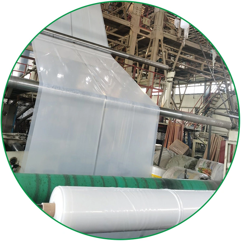 Fabrik Großhandel/Lieferant hohe Qualität UV stabilisiert Weed beständig Weiß transparent PE Garten Kunststoff Mulch Gewächshaus Schutzfolie