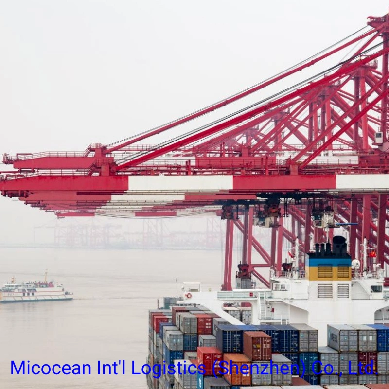 LCL Service fret maritime en vrac de la Chine à Bangkok, Thaïlande avec dédouanement