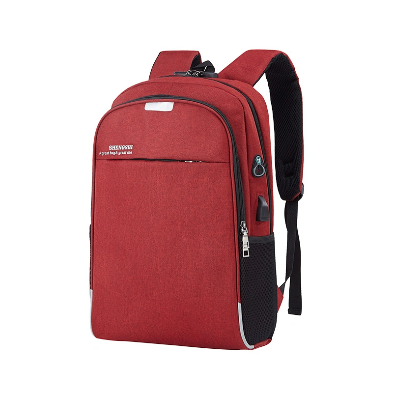 Computer Laptop Books College USB Headphone Jack Anti-Thief Brief Backpack Bag