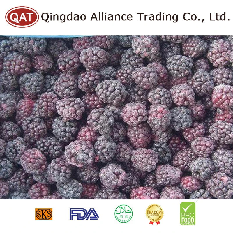 Certificação Brc Novo sazonal IQF IQF Blackberry frutos congelados originários da China