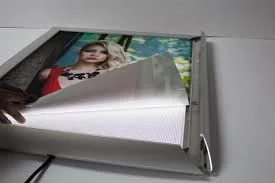 Matte Eco Solvent Pet Backlit Film for Front Printing