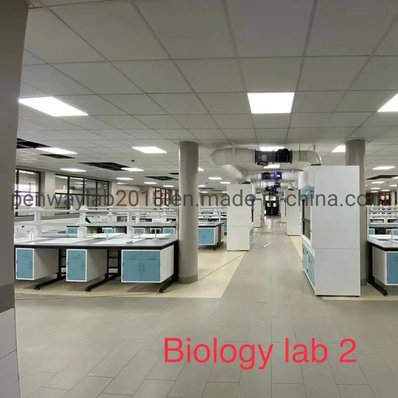 Лабораторная мебель зал школы таблицы Lab Lab многоместного лабораторная мебель