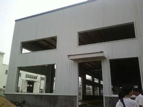 Steel Structure Construction Factory Building (DG2-025)