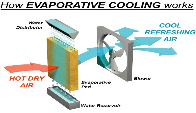 L'eau brun recouvert de noir de l'équipement de l'élevage de volaille Grange rideau de papier de refroidissement humide refroidissement évaporatif Pad