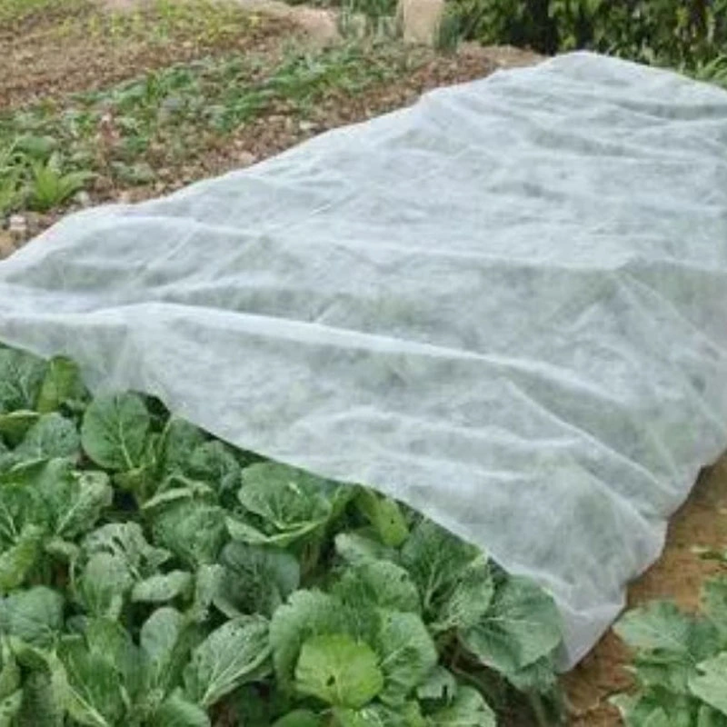 100%PP Hoja de cubierta no tejida de Agricultura