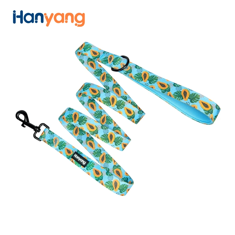 Hanyang New Release OEM Factory Customized Dog Leash Dog Accessories