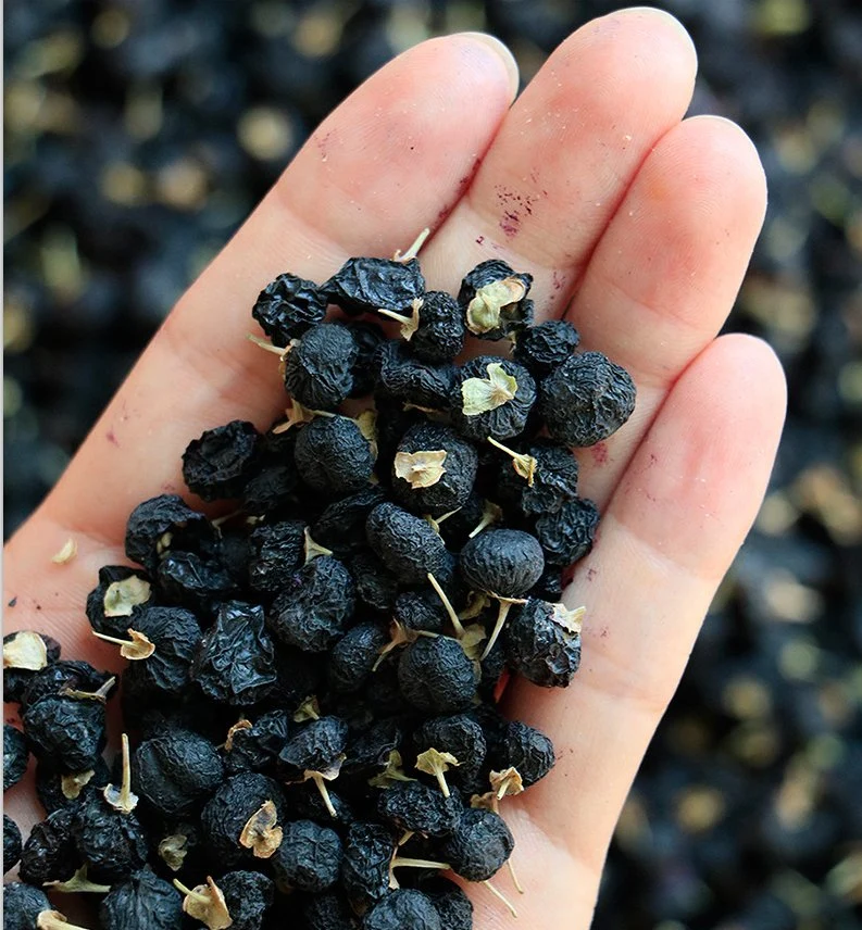 High quality/High cost performance Dried Black Goji Berry Wolfberry Health Food