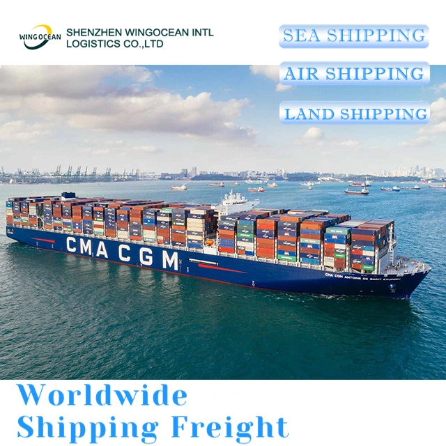 Reliable Excellent China DDP Sea Shipping Door to Door Delivery Logistics Freight Forwarder Shipping From China to UK/ Germany/ France