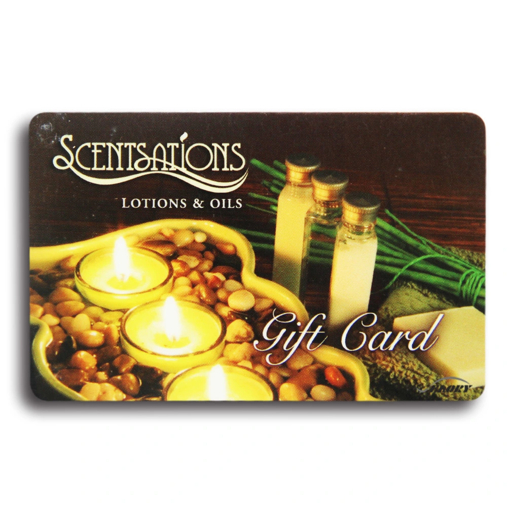 Custom Brand Printing Reloadability Gift Card IC Memory Cards