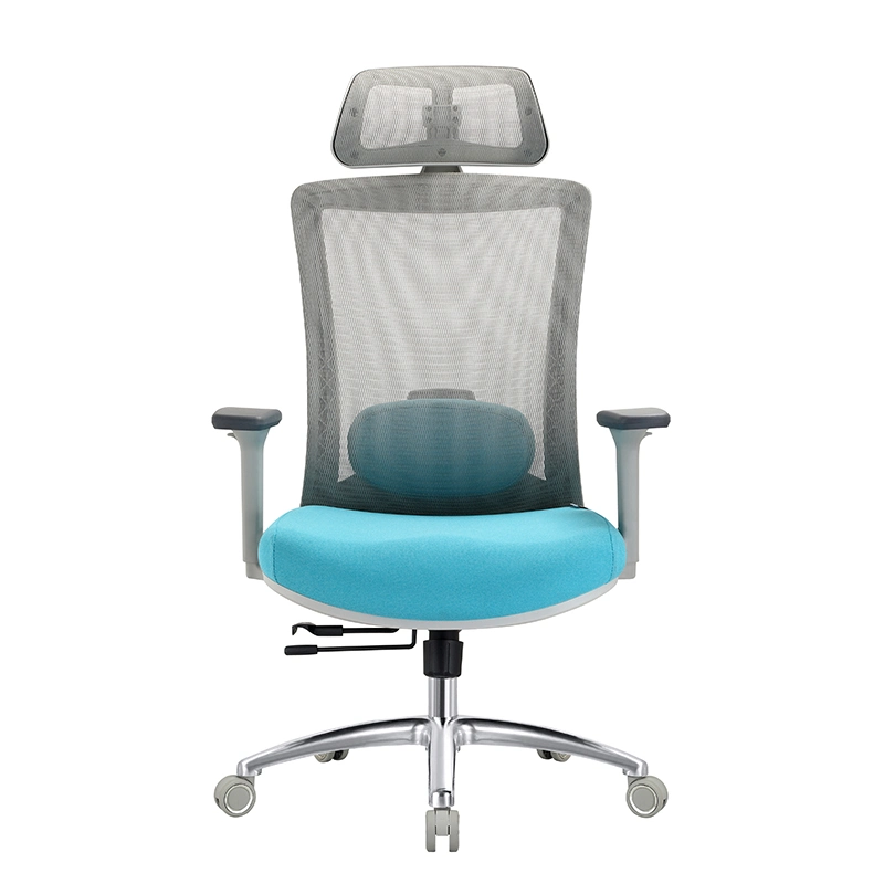 Online Hot Sale Modern Design Ergonomic Mesh Office Chair for Enterprise with Good Price