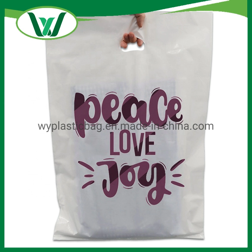 LDPE HDPE Plastic Colorful Different Standard Size Shopping Bags Custom Plastic PE Die Cut Handle Shopping Bag