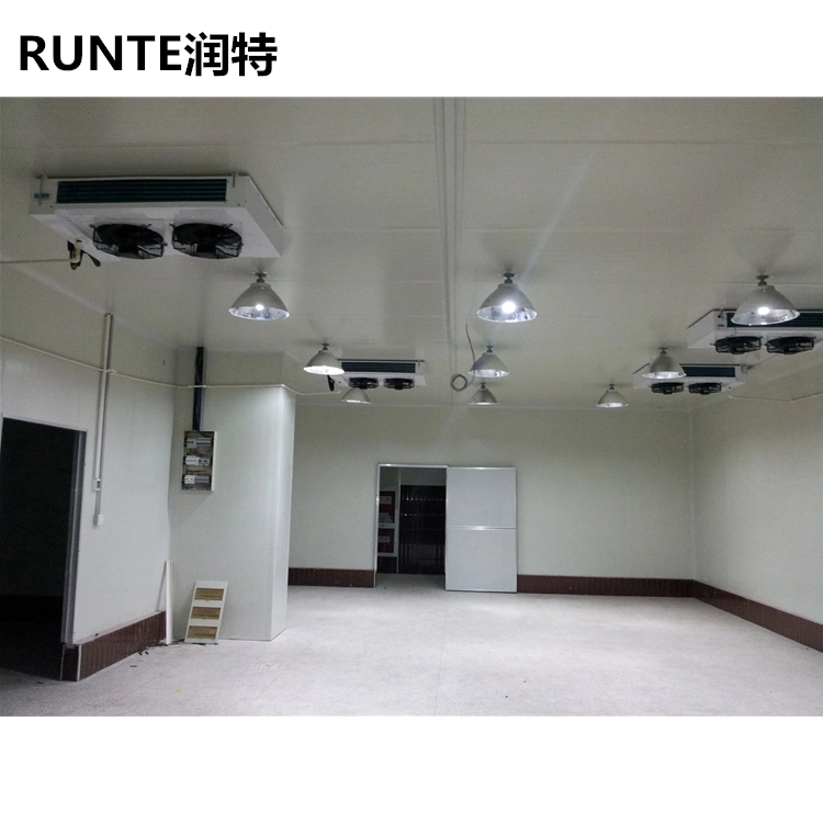 Runte Outdoor Banana Reliable Quality Big Plant Warehouse Cold Storage System