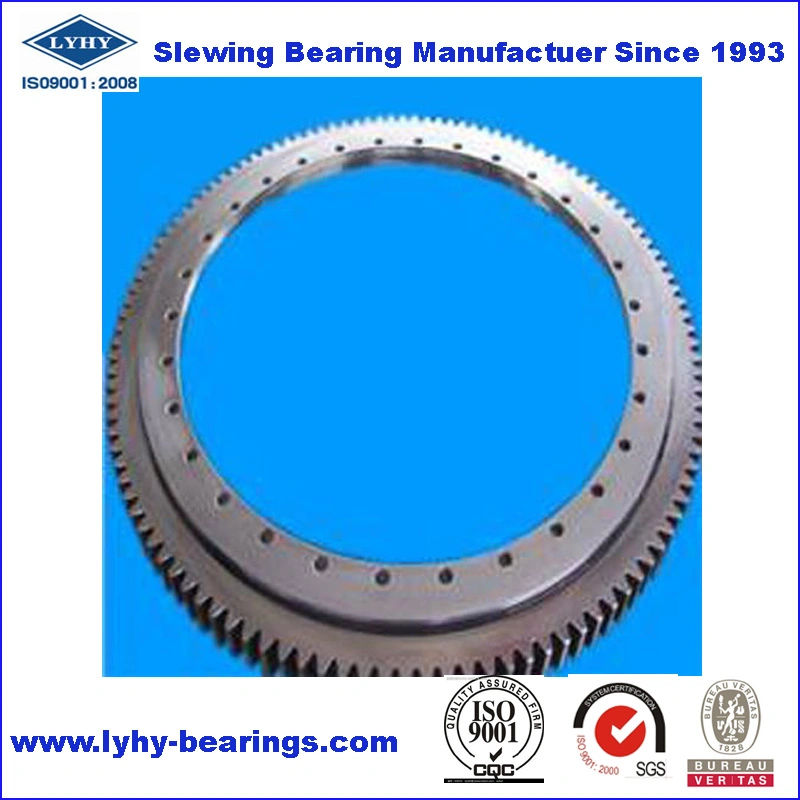 External Gear Slewing Ring Bearing Slewing Gear for City Crane 1787/800g2