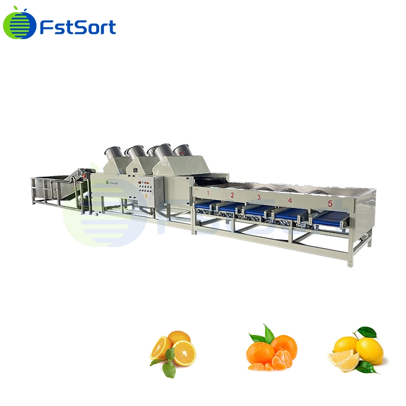 Hocheffizienter Citrus Automatische Sortiermaschine Fünf Klassen Trommelklassierer Automatische Zitrone Zitrone Mandarine Sortierung Sortiermaschine Verarbeitungslinie