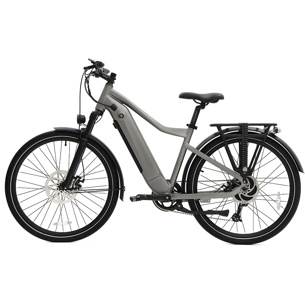 All Terrian Comuter Bike Ebike