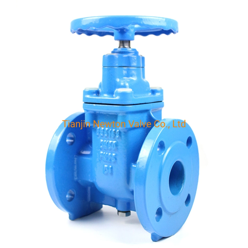 Competitive Price BS5163 Ggg50 Pn10 Pn16 Flange Type Non Rising Stem Flange Type Soft Sealing Resilient Seat Ductile Iron Cast Iron Gate Valve