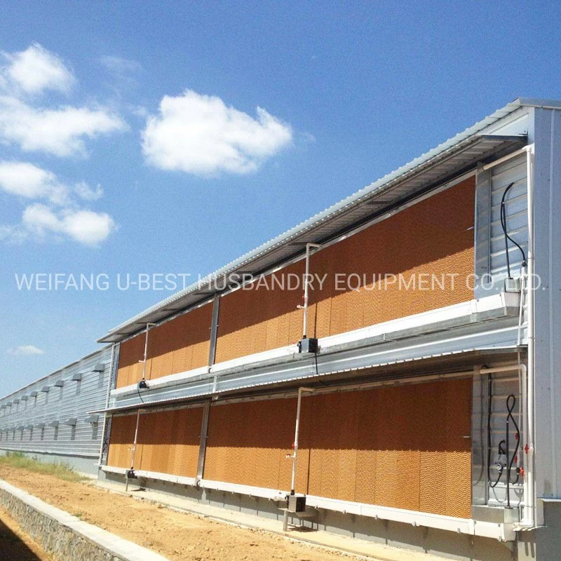 Full Automatic Chicken House Poultry Farm Feeding Equipment for Broiler