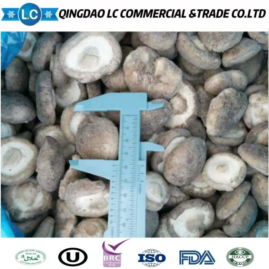 Wholesale/Supplier Price Raw Frozen Fresh Flower Mushroom for Buyers