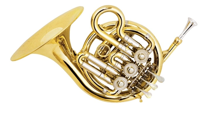 Brass Horn/Musical Instruments/Junior French Horn / French Horn (FH-33L)