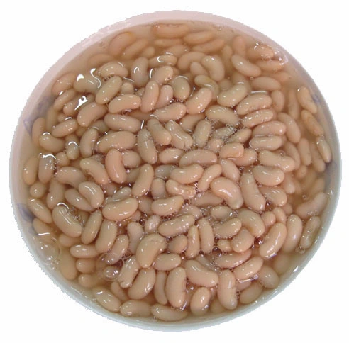 Canned Food Canned White Kidney/Baked Bean in Brine
