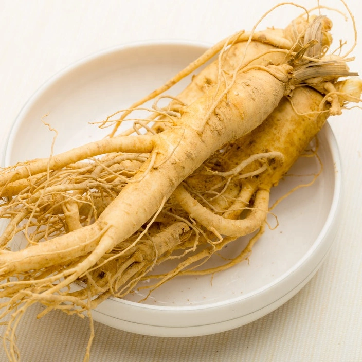 Alta qualidade natural a granel granel cultivadas artificialmente Ginseng Medicamentos Chineses Frezon materiais ginseng americano