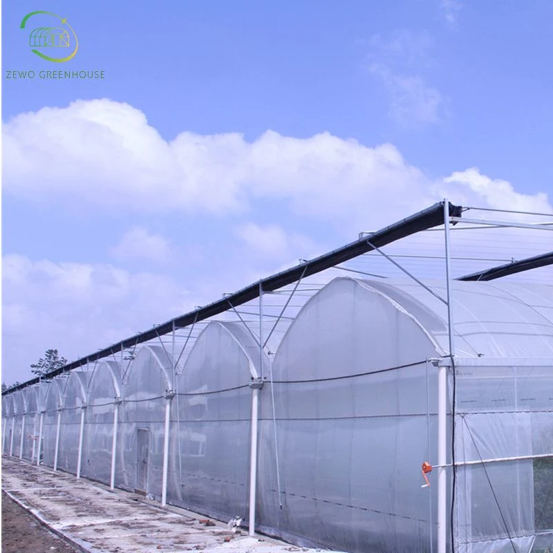 Agricultural Multi Span Tunnel Greenhouses with Hydroponic Growing System for Tomato/Cucumber/Lettuce/Pepper Planting