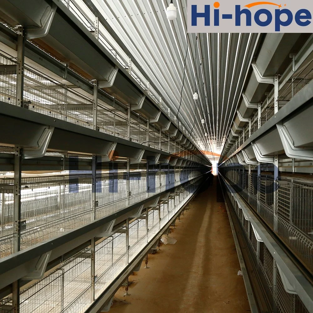 H Typ Livestock House Automatische Chicken Layer Käfige für Pullet Und Layer